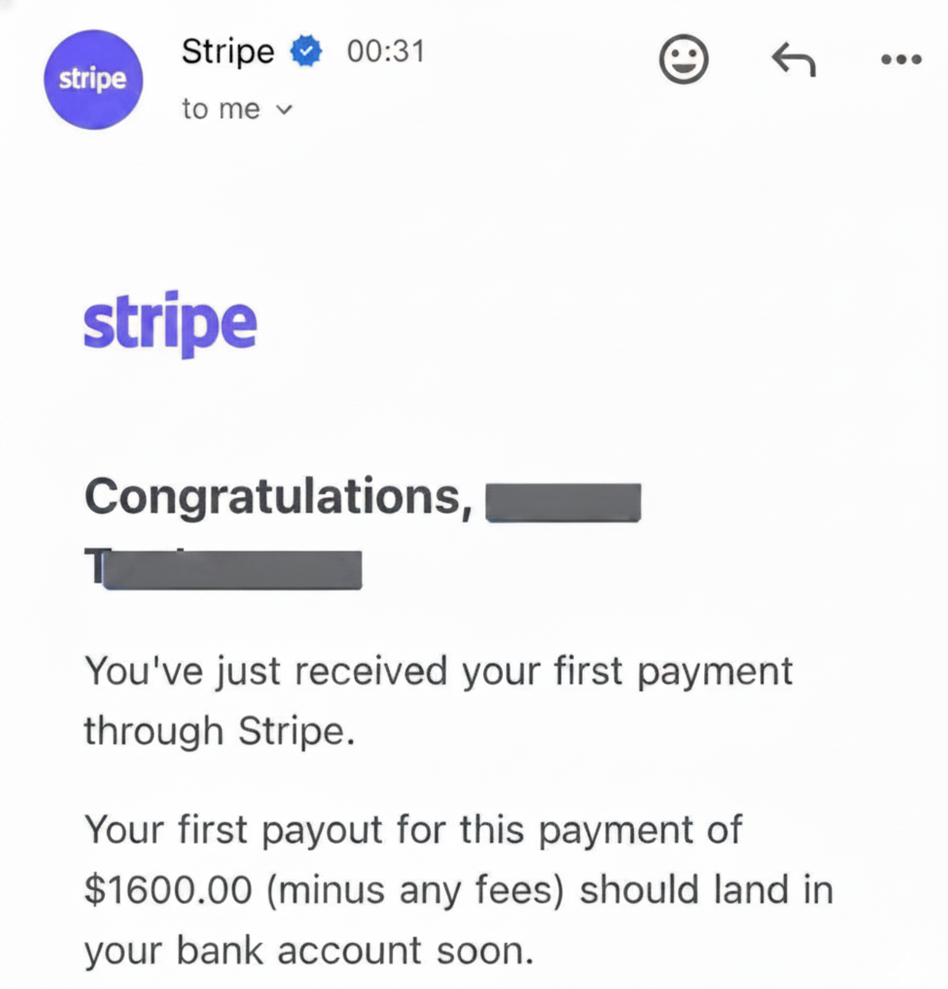 Stripe “you made your first payment” email.
